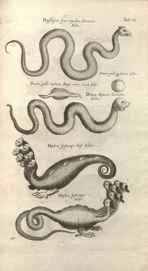 Image from Historiae Naturalis de Serpentibus (1757)