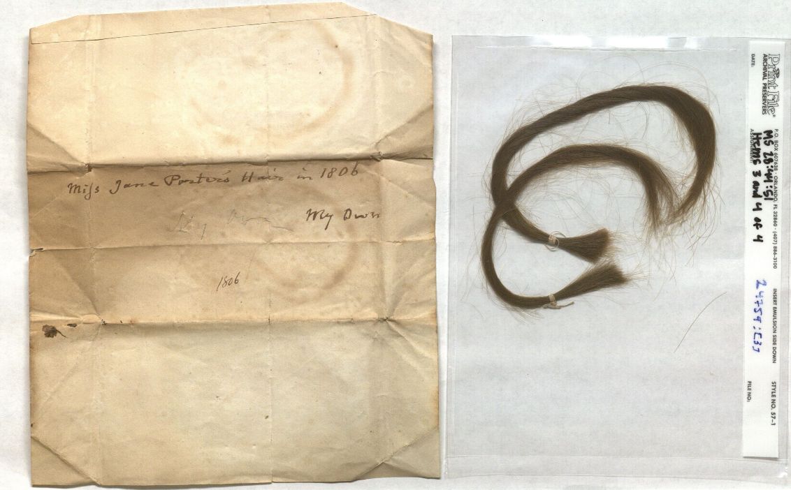 Image of a lock of Jane Porter's hair
