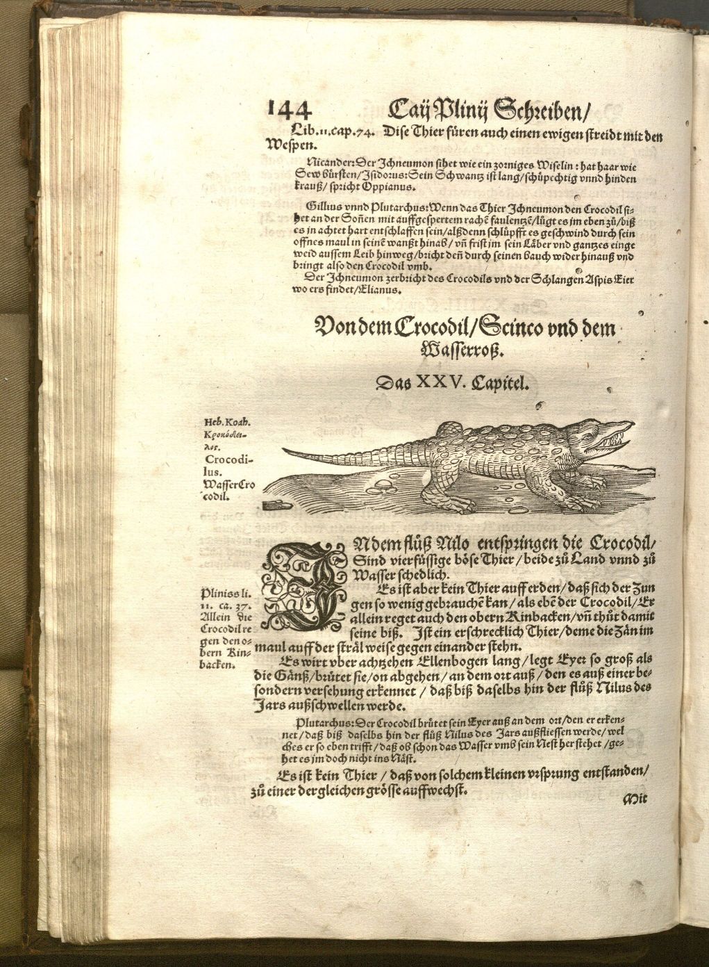 Photograph of page 144 from Bücher und Schrifften von der Natur, featuring a section on crocodiles