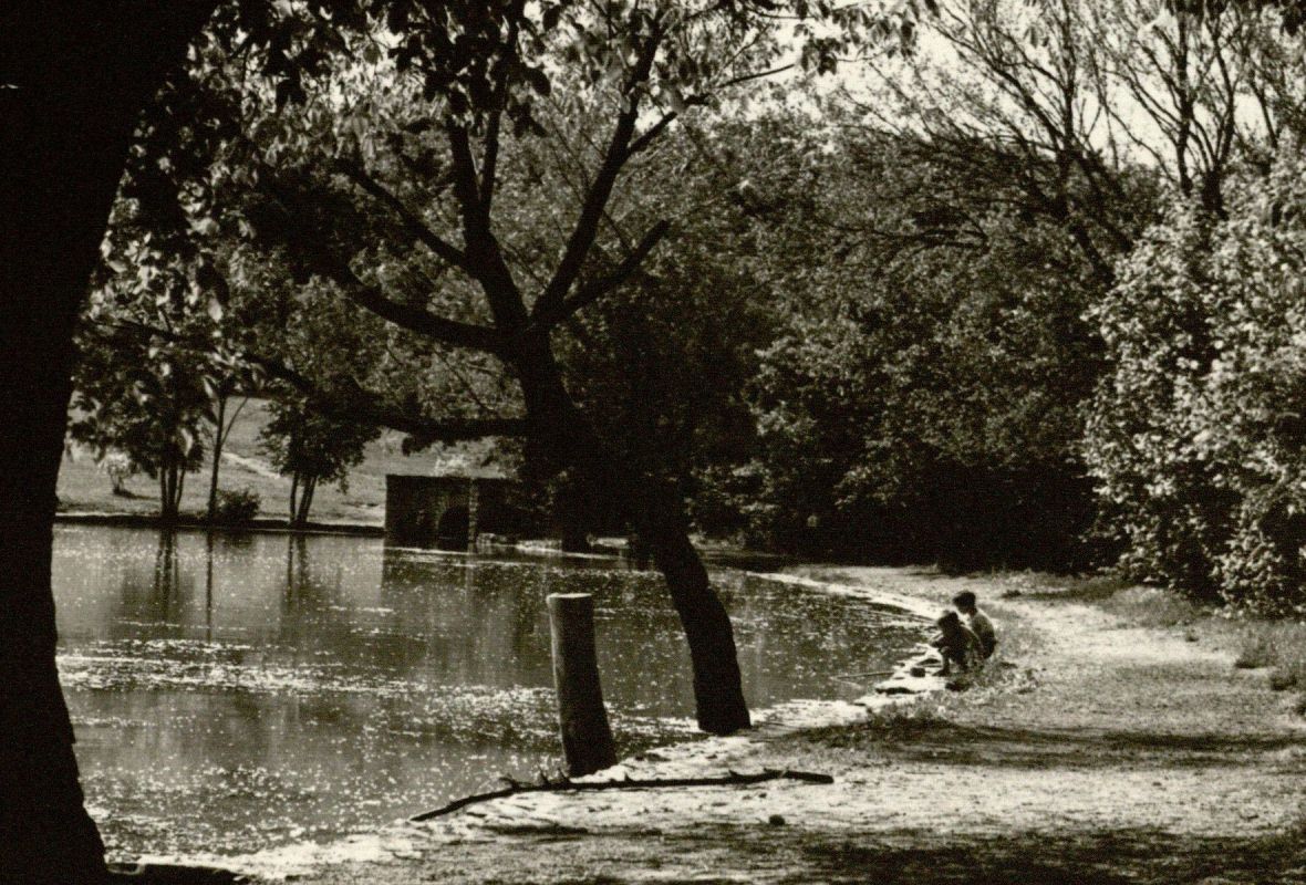 Photograph of Potter Lake with two boys fishing , 1950.