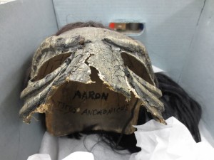 Photograph of a mask worn by Moses Gunn in the role of Titus Andronicus