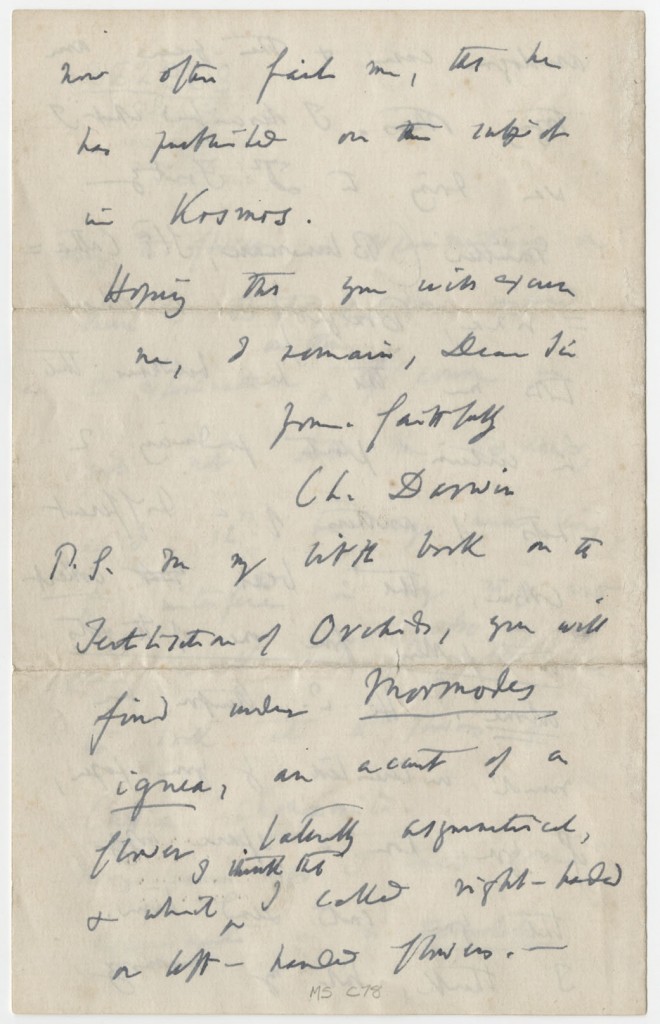 Image of the fourth page of a letter, Charles Darwin to James E. Todd, 1882