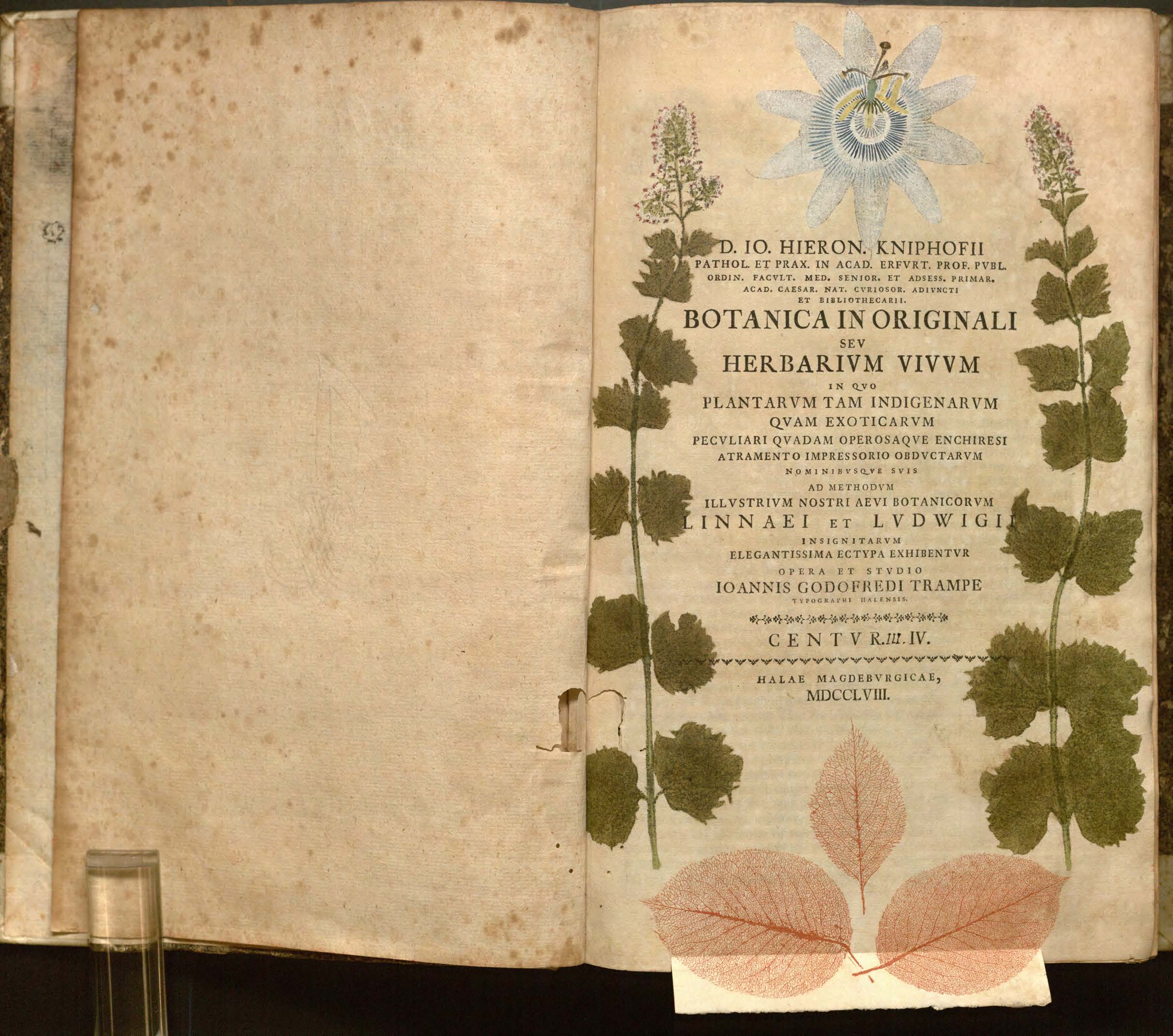Title page, featuring nature printing, for Centur III-IV of Kniphof's Botanica in originali seu Herbarum vivum