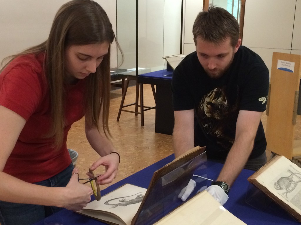 Photograph of Megan and Ryan installing books