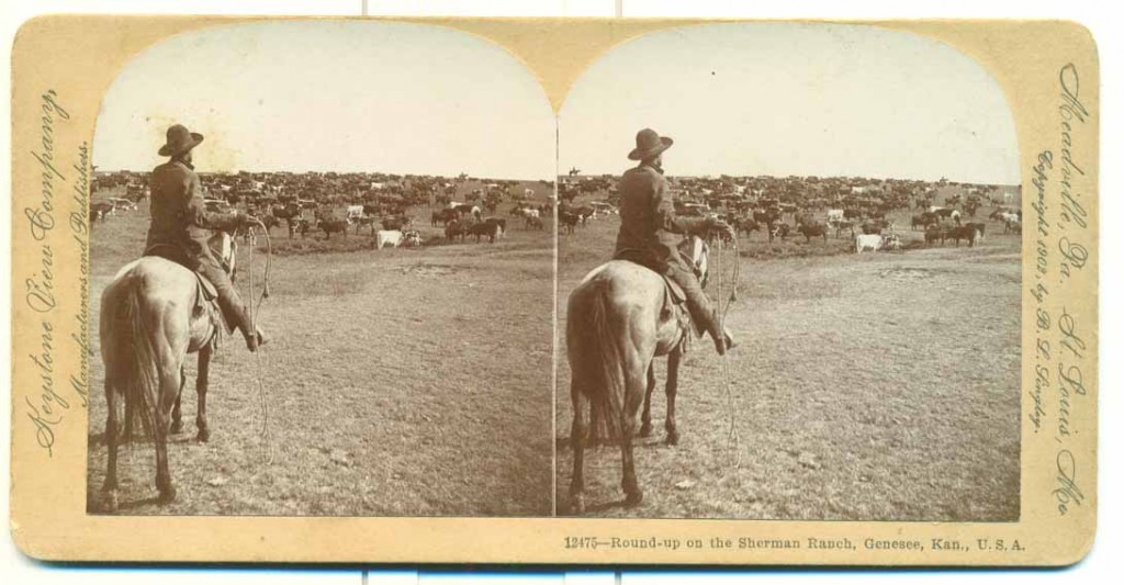 Photograph of a round-up on the Sherman Ranch, Genesee, Kansas, undated