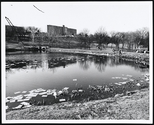 Photograph of men pulling copies of the University Daily Kansan out of Potter Pond, February 23, 1970