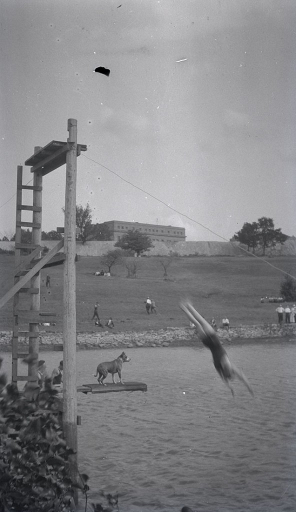 Photograph of someone diving into Potter Lake, 1912