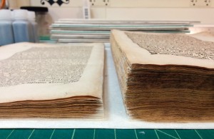 Conservation treatment of Summerfield D544, Spencer Research Library