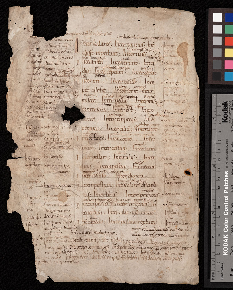 Latin glossary with Latin and Old English glosses, covering the words interkalares to istingum (recto). Worcester (?), West Midlands, England, circa 990 - 1010. Call #: MS Pryce C2:1 Kenneth Spencer Research Library, University of Kansas