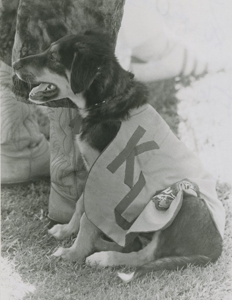 Photograph of the KU Marching Band mascot, Boris, 1968