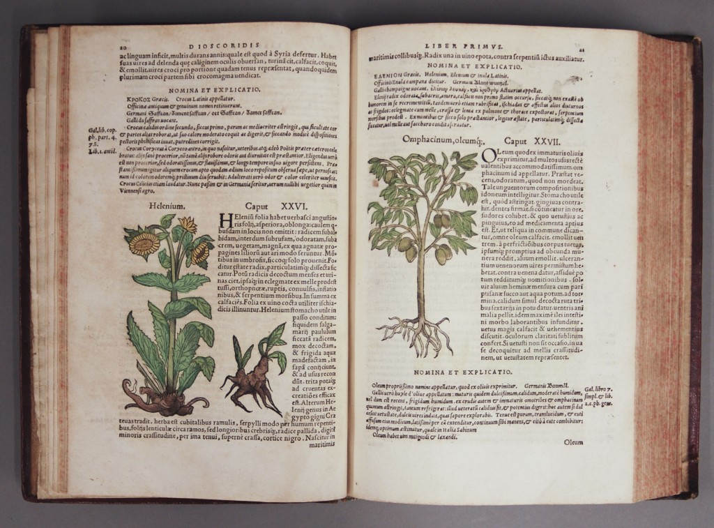 Spencer Research Library Blog » The Garden of Health Gart der