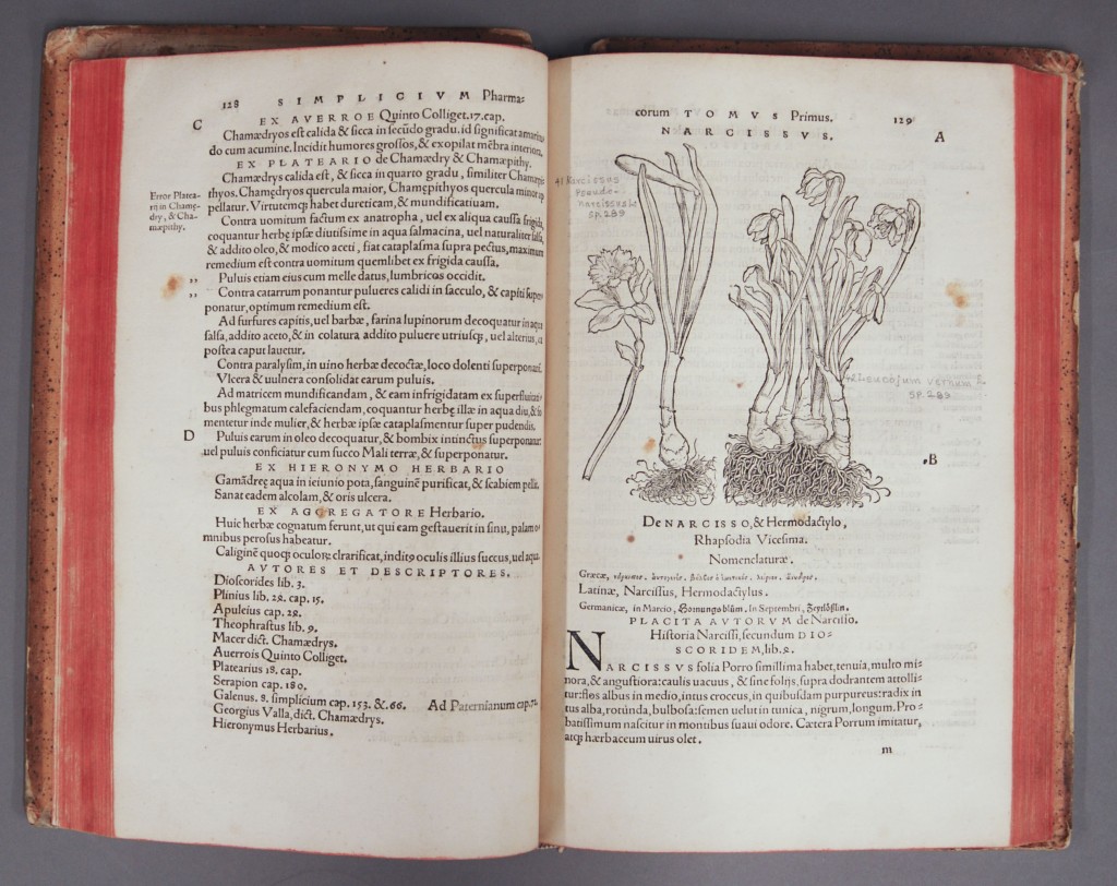 38+ Gart Der Gesundheit Hortus Sanitatis, The gart der gesundheit is
