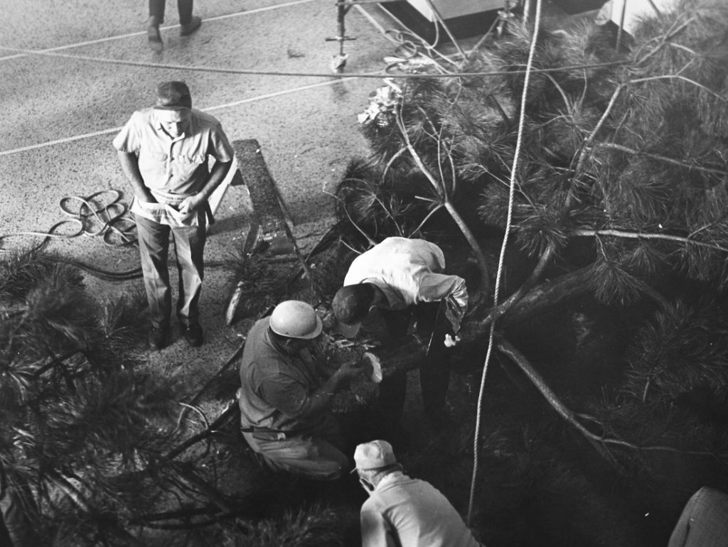 Photograph of the Chancellor's Christmas tree in Strong Hall, 1968