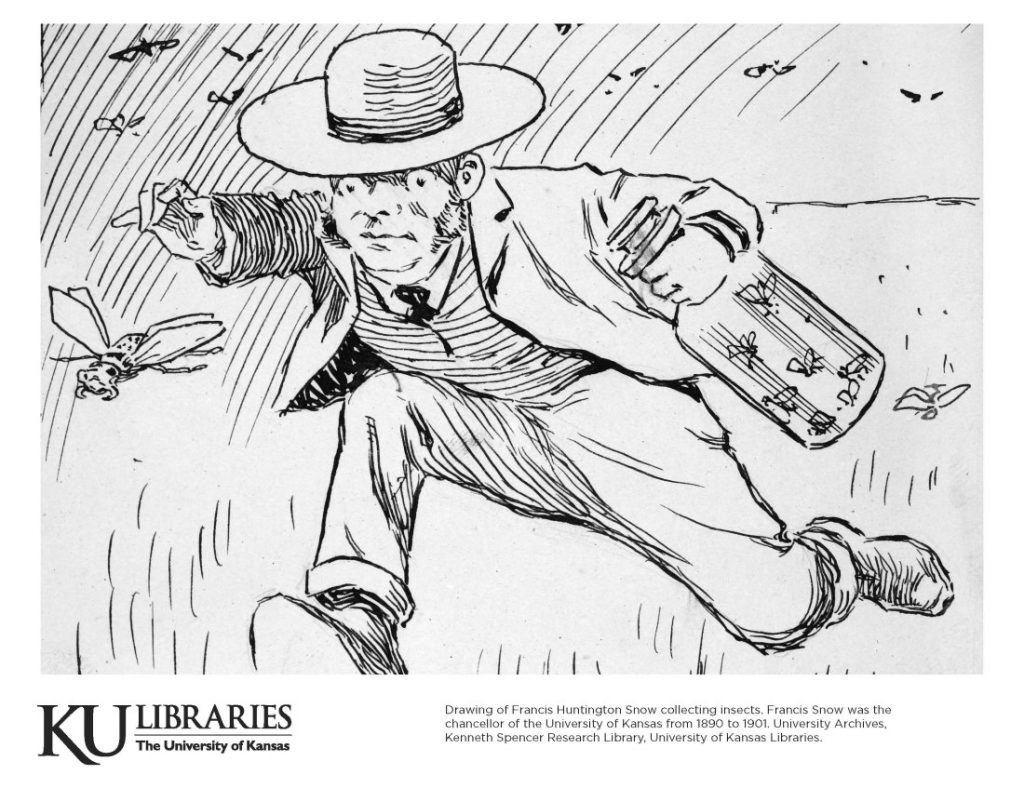 Spencer Research Library image in the KU Libraries coloring book, 2020