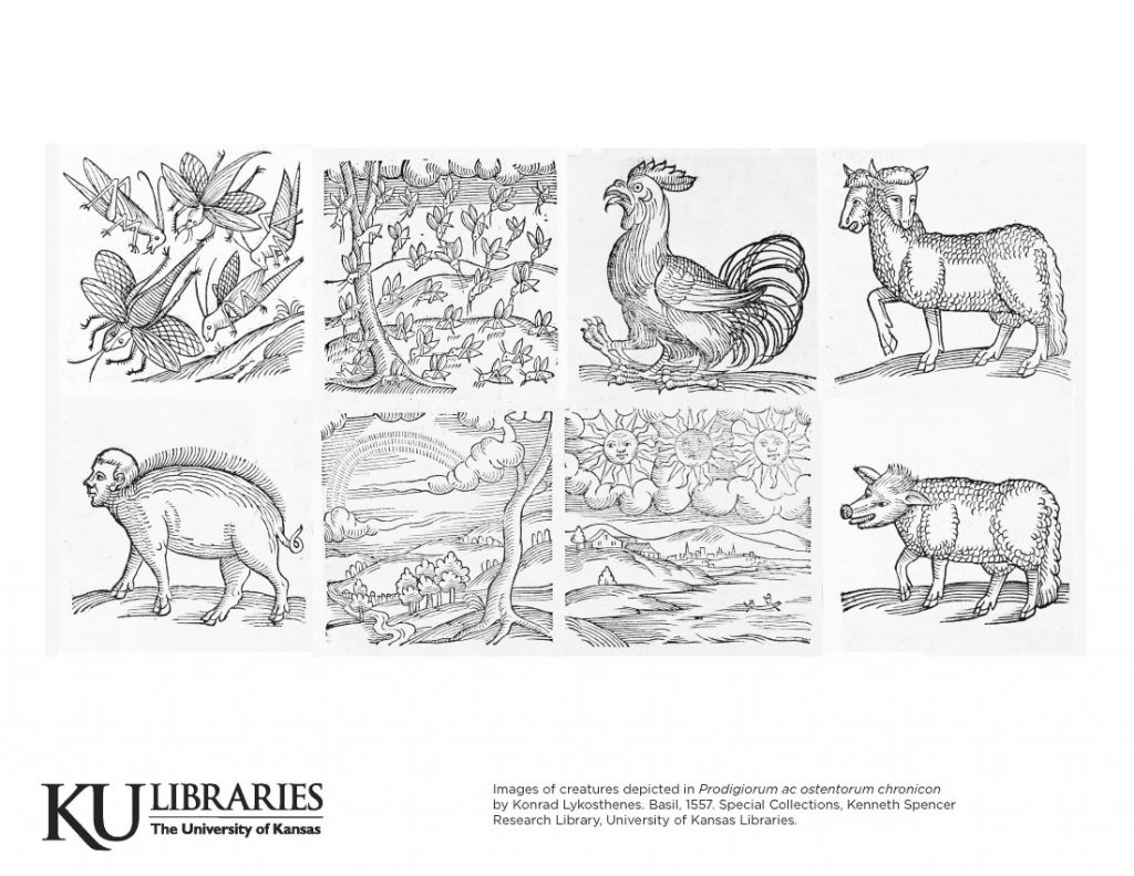 Spencer Research Library image in the KU Libraries coloring book, 2020