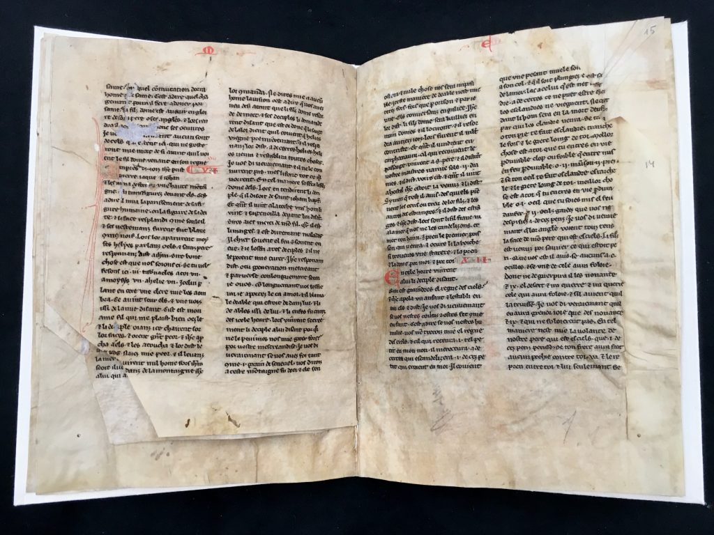 Image showing Chapters 17 and 18 of the Gospel of Matthew in MS D40, folios 7v-8r.
