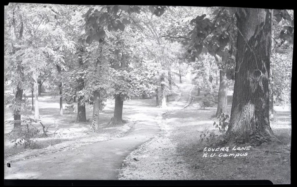 Photograph of "Lover's Lane" in Marvin Grove, 1948