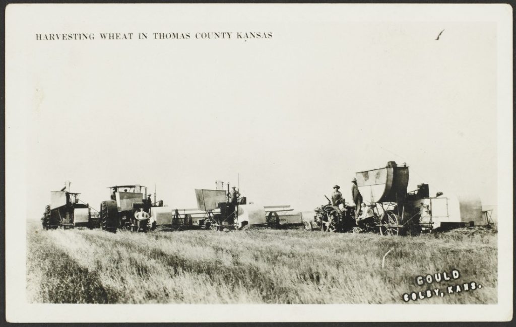 Black-and-white photograph of Men and horse-drawn harvesting machinery in a wheat field.