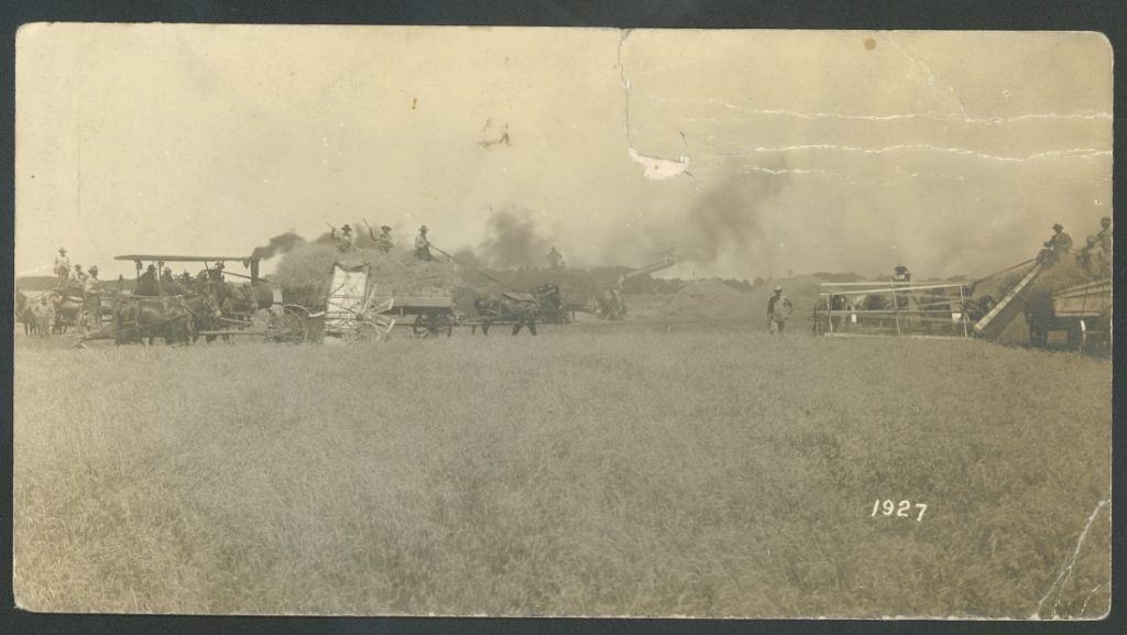 Black-and-white photograph of Men and horse-drawn harvesting machinery in a wheat field.