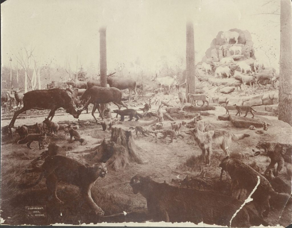 Sepia-toned photograph of many animals, large and small, in a lightly-wooded environment with a tall rock feature in the background.