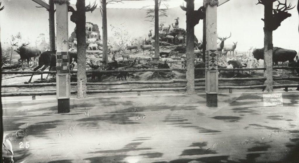Sepia-toned photograph of the entire diorama, taken from across a hallway.