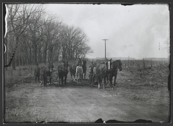 Black-and-white photograph of men, horses, and mules standing across a dirt road with trees on the left and fields on the right.