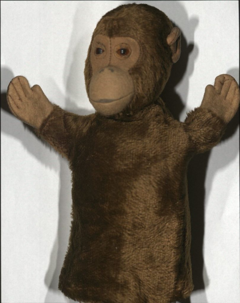 Photograph of a brown monkey with his hands in the air.