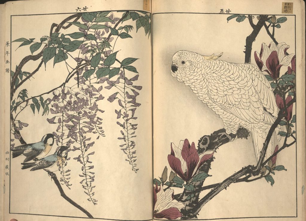 Woodblock prints No. 5 and 6 showing two small and one large white bird from Kyonen Kacho Gafu by Imao Keinen, 1891-1892; Call Number: Ellis Aves G21
