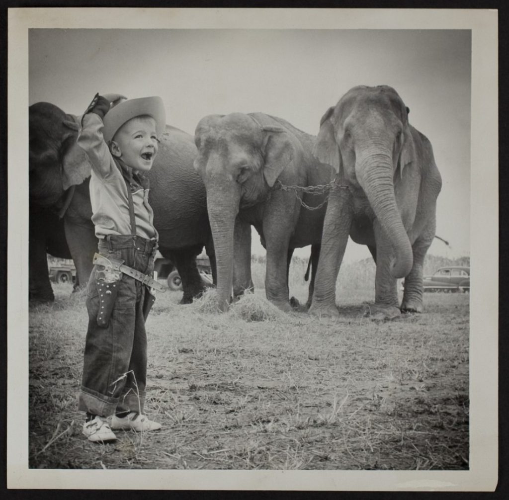 Black-and-white photograph of a young boy wearing a cowboy outfit and standing in front of three elephants.