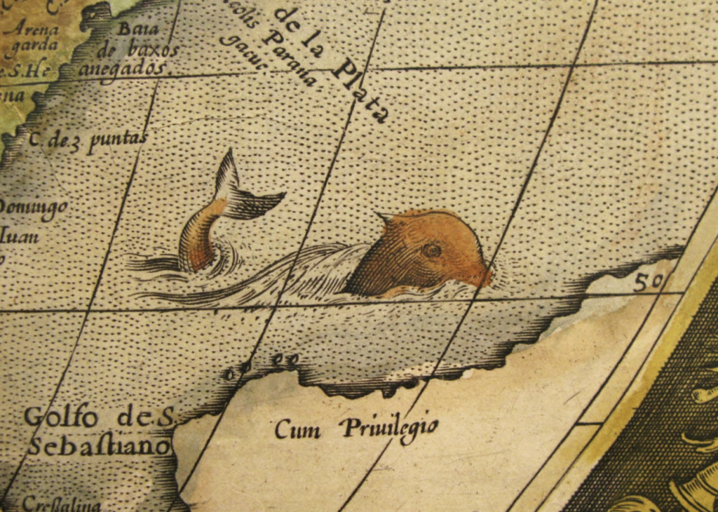 A whale-like sea creature depicted in the map Americae sive novi orbis, nova descriptio, ca.1570-1600. Call Number: Orbis Maps 1:30.