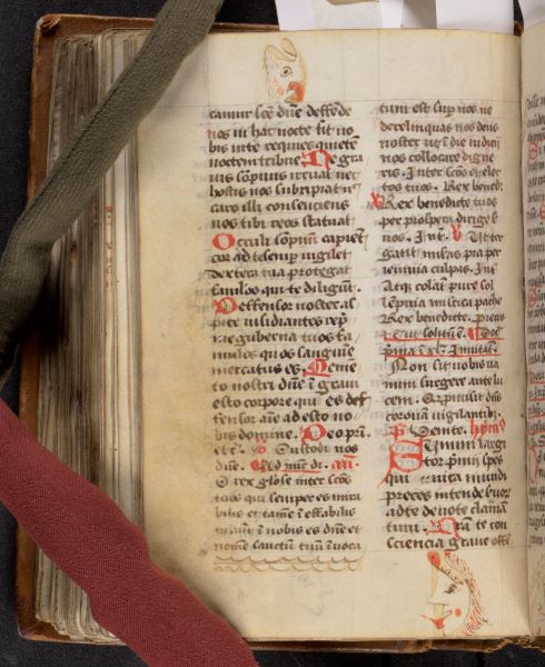 Image of doodles of faces in the margins of Spencer's manuscript copy of Ordinatio totius officii divini secundum usum monasterii Beatae Mariae de Belgentiaco. [A Complete Order of the Divine Offices According to the Use of the Monastery of the Blessed Mary of Beaugency.]. France, 1400-1500.