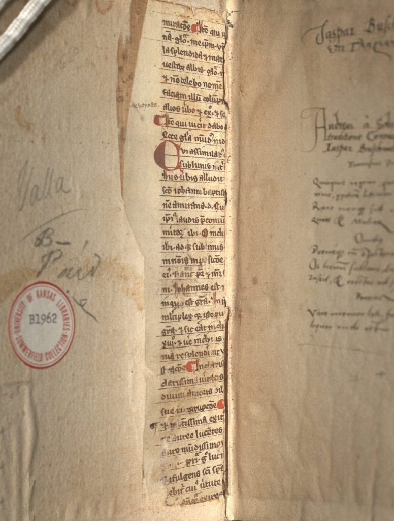Long narrow strip of a medieval manuscript inside the front cover of an early modern book.