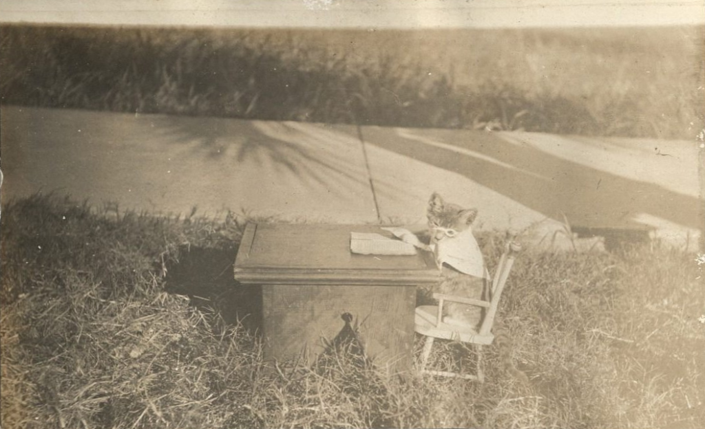Sepia toned photo of a kitten sitting in a small chair next to a table with a book on it. The kitten is sitting upright wearing a monocle and a bandana. 