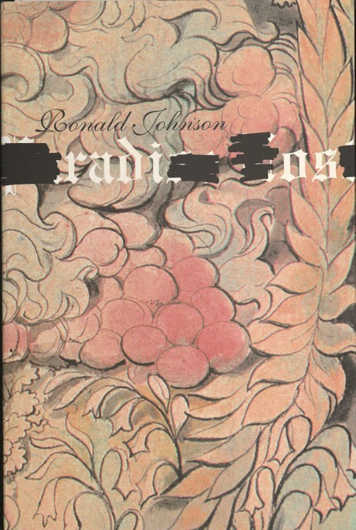 This image has text against a pale floral background. The title of the work is "Paradise Lost" with selected letters blackened out.