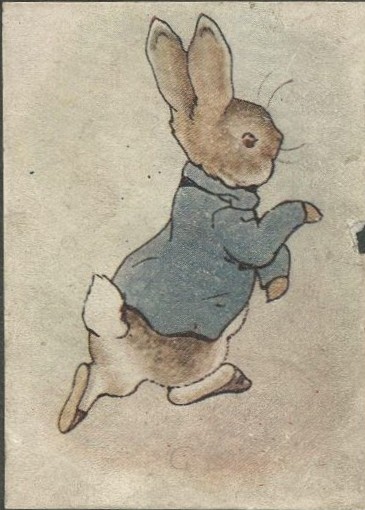 Color illustration of a rabbit in a blue jacket.