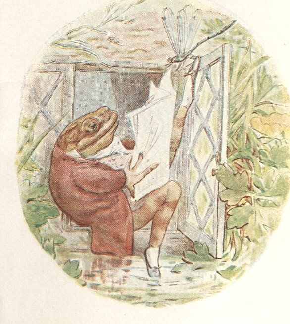 Color illustration of a frog in a brown jacket who is sitting in a window reading the newspaper.
