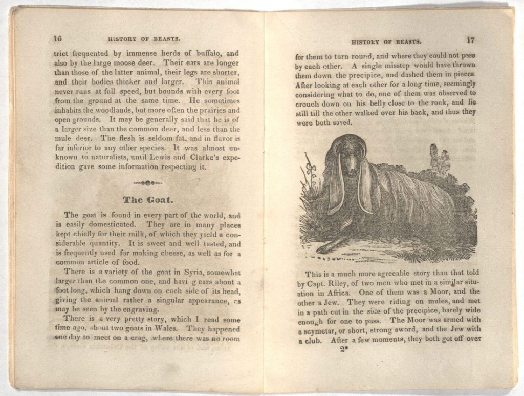This image has text, accompanied by a black-and-white illustration of a goat.